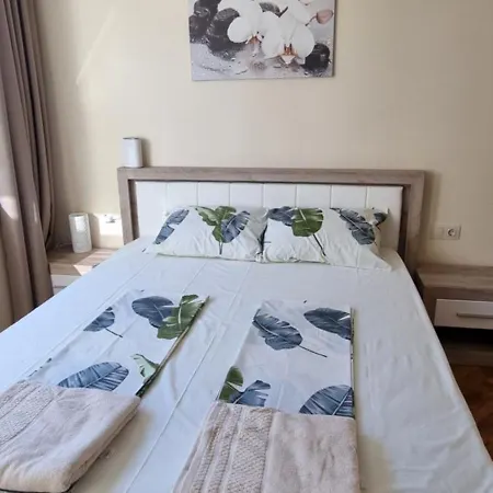 Luxe Mimoza *